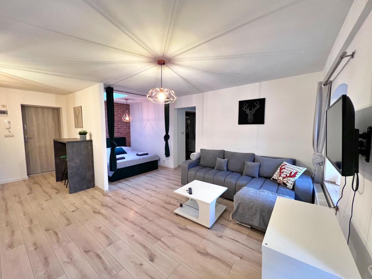 Apartament W Samym Centrum Jeleniej Gory Jelenia Gora Exterior photo